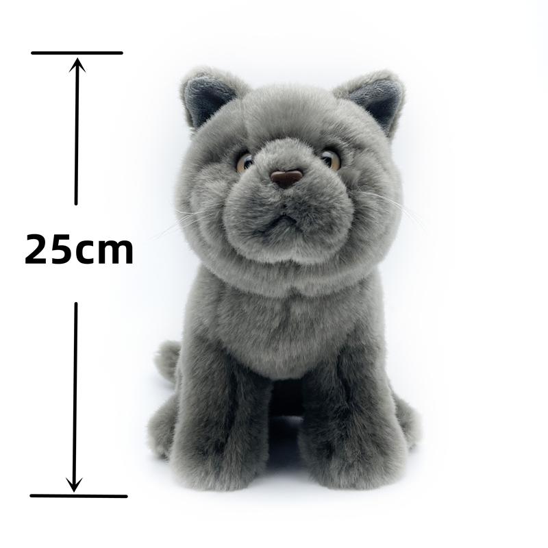 Realistische Britisch Kurzhaar Katze Hohe Treue Niedlicher Plüschtier Felinae Plüschtiere Lebensechte Tiere Simulation Stoffpuppe Kawaii Spielzeug gray