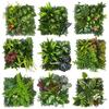 Grüne künstliche Pflanze Wandrasen 25*25cm DIY Kunstrasenmatte Blumenwandpaneel Kunststoff DIY Pflanzenpaneel Heimdekoration
