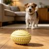 Jouets de Dentition pour Chiens avec Picots Nettoyage des Dents Boule Jouet Ballon de Rugby Résistant aux Morsures avec Son Interactif pour Chiens Petits Moyens Grands Santé Dentaire et