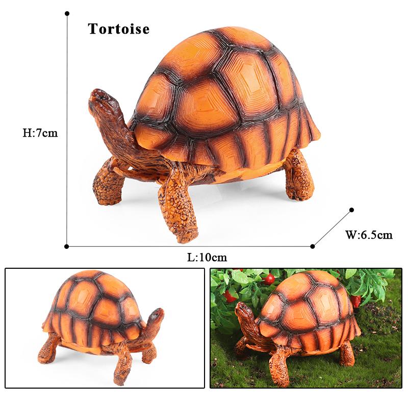 Oenux Sea Life Animals Model Leatherback Tortoise Turtle Growth Cycle Ocean Figurines Action Figures PVC Collection Kid Toy Gift