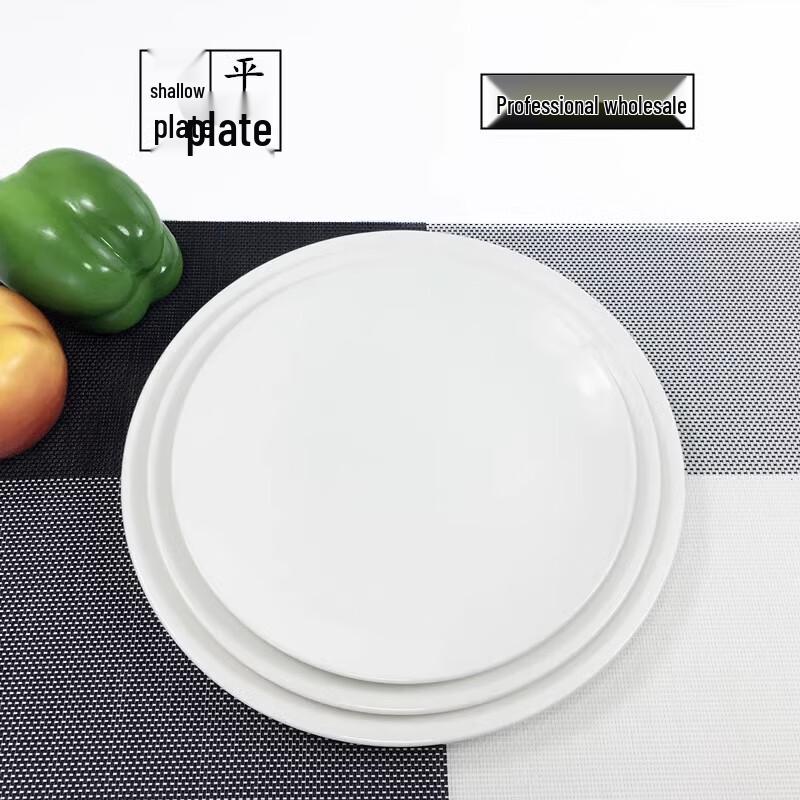 Pure White Round Ceramic Dinner Plate