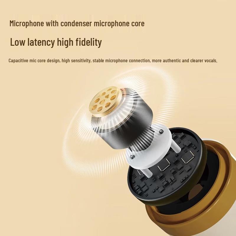 Edifier Q1 Portable KTV Speaker with Dual Microphones CN Plug (adapter Included)