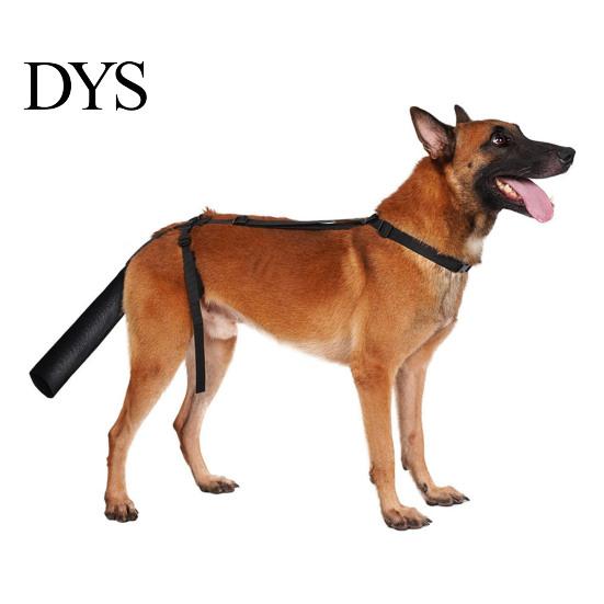 Outdoor Dog Tail Protection Protector, Breathable Pet Wrap, Adjustable Harness Bandage with Guard for Dogs Wound Injury Recovery Post Surgery Support
