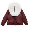 Winter Casual Down-padded Jacket for Women, Short, Thickened, Large Fur Collar Design, Cotton-padded Jacket, Small Cotton-padded Jacket