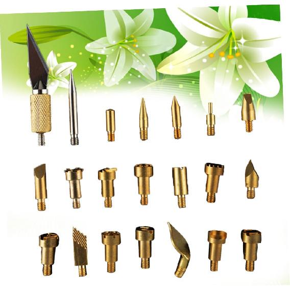 PLAFOPE Woodburning Tools Kit 22pcs Soldering Iron Tips for Special Carving Branding Decorative Patterns