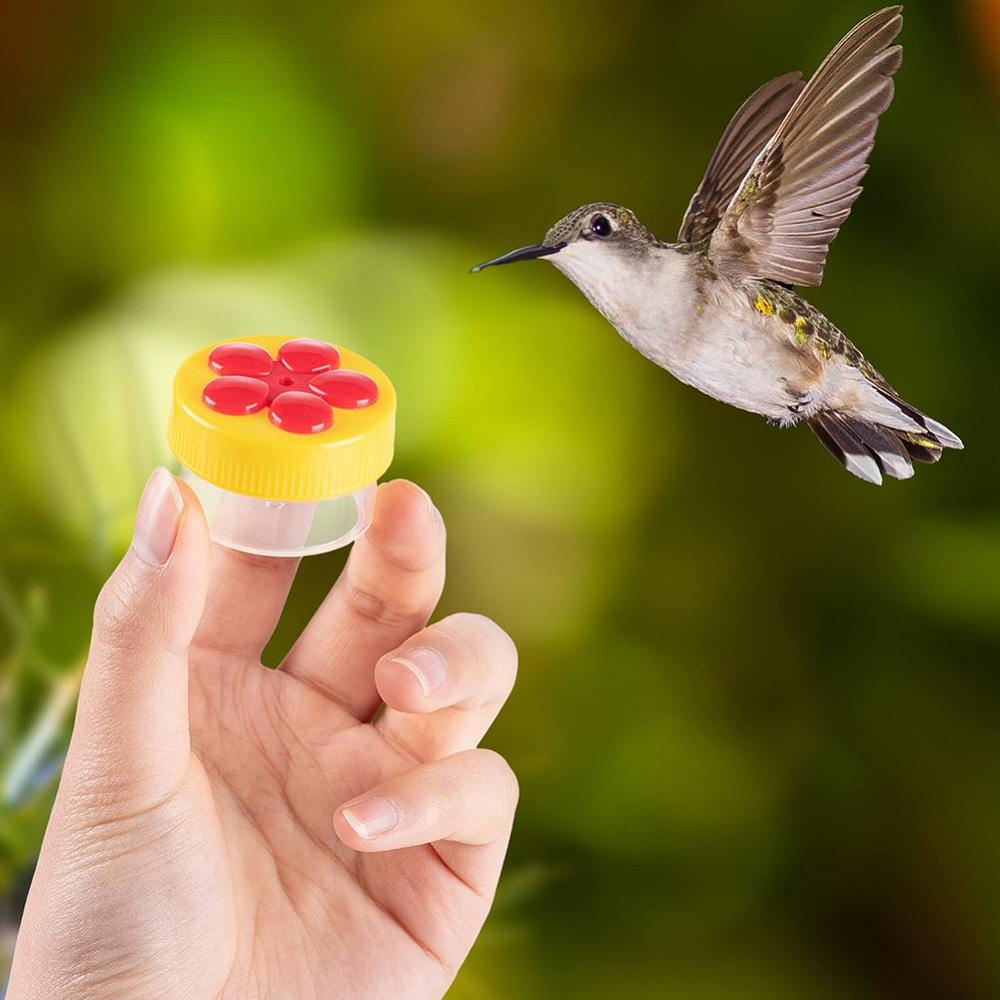 6Pcs Hummingbird Hand Feeder Handheld Hummingbird Feeders With 4 Brushes