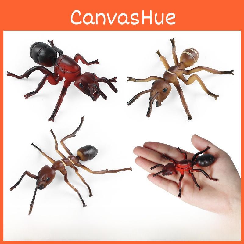 Animal Insect Educational Model Pack Plastic Figures Kid Learning Schooling Home