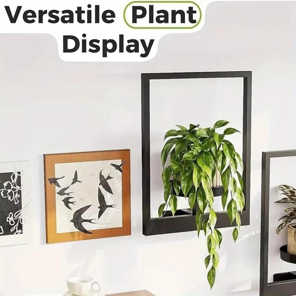 Black Picture Frame Wall Plant Holder Stylish Display Stands  Outdoor