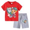 PAW Patrol Summer Cartoon Printed Boys Girls Tshirt Sets Children's Casual Shorts 2 Piece Sets Kids Tracksuits Sport Suits