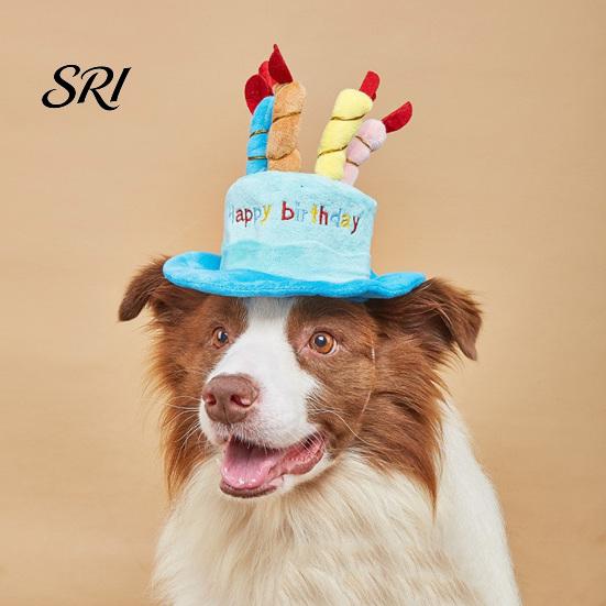 Cat Birthday Outfit Pet Hat Cute Cake Dog Plush Adjustable for Small Medium Dogs Cats Party Accessory Costume