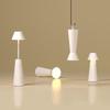 D19 Adjustable LED Desk & Camping Lamp with Flashlight