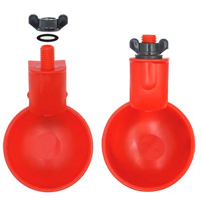 ציפורים – כלי אוכל ושתייה לציפורים