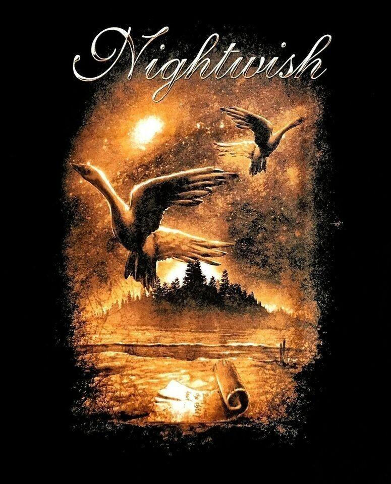 Винтажная черная футболка NIGHTWISH WISHMASTER DECADES Tour BO248 Унисекс S