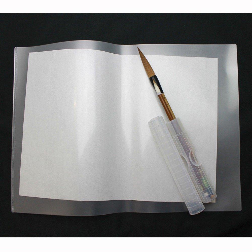 Kuretake Calligraphy KN21 File, Crystal,