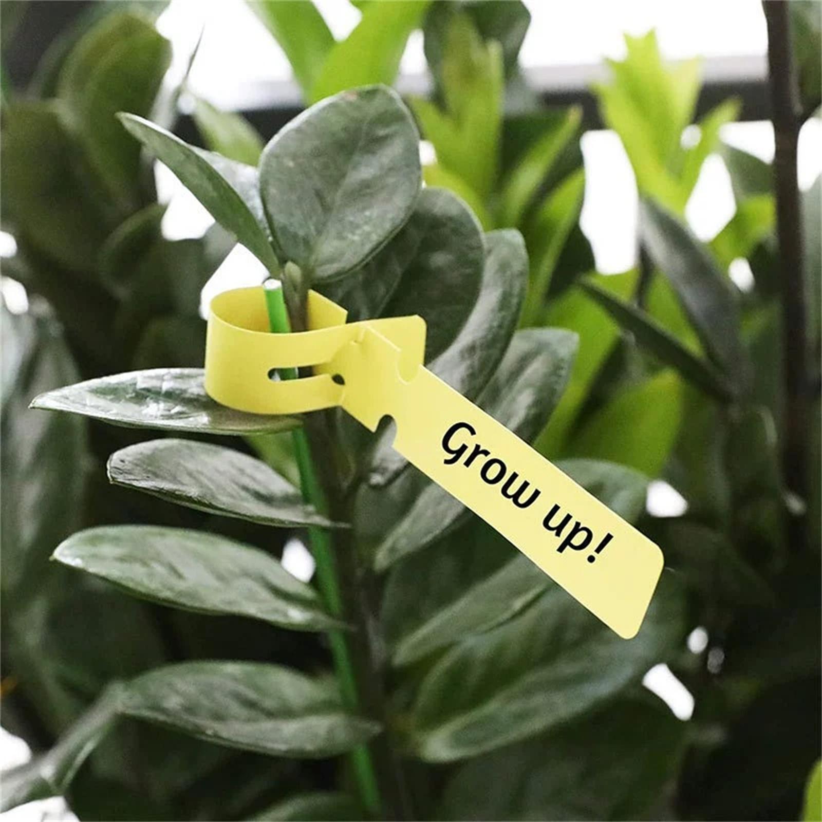 

Plastic Plant Label Wraparound Tape, Horticultural Tree Marking Tool, Flowerpot Plant Activity Markers, Garden Plant Identification Tags One Size жёлтый