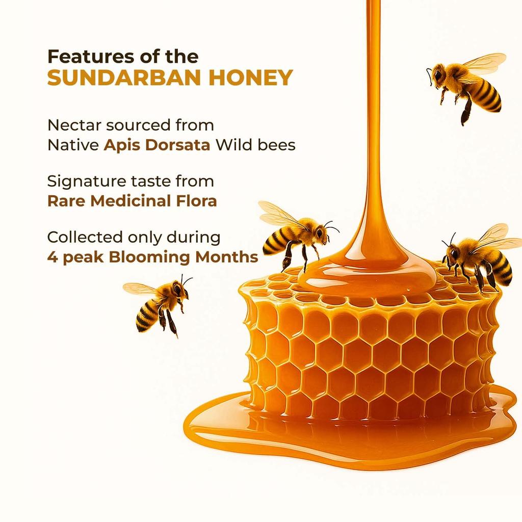 Zandu Sundarban Forest Honey 500 G Pure Mangrove Honey Signature Floral Taste Natural Sweetener No Sugar Adulteration