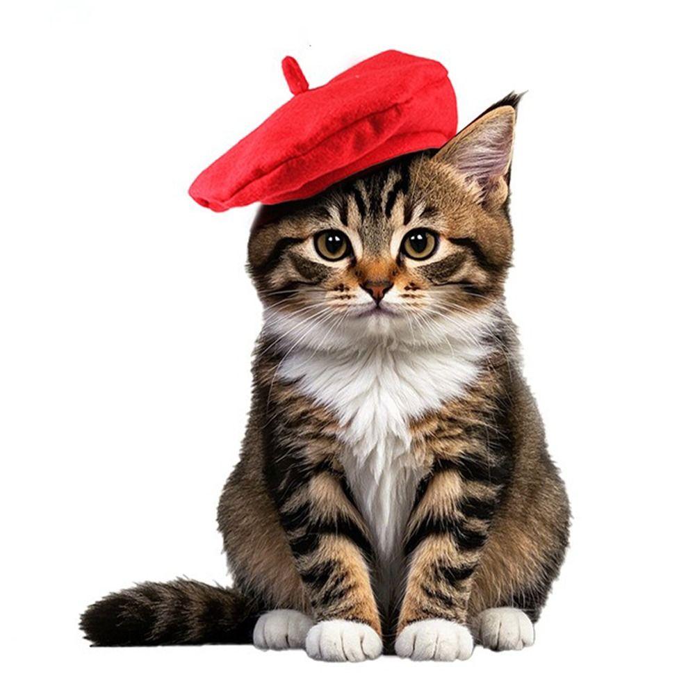 Fashionable Cat Beret Hat Cute Pet Headwear Durable Cat Sunscreen Hat  For Cat Dog