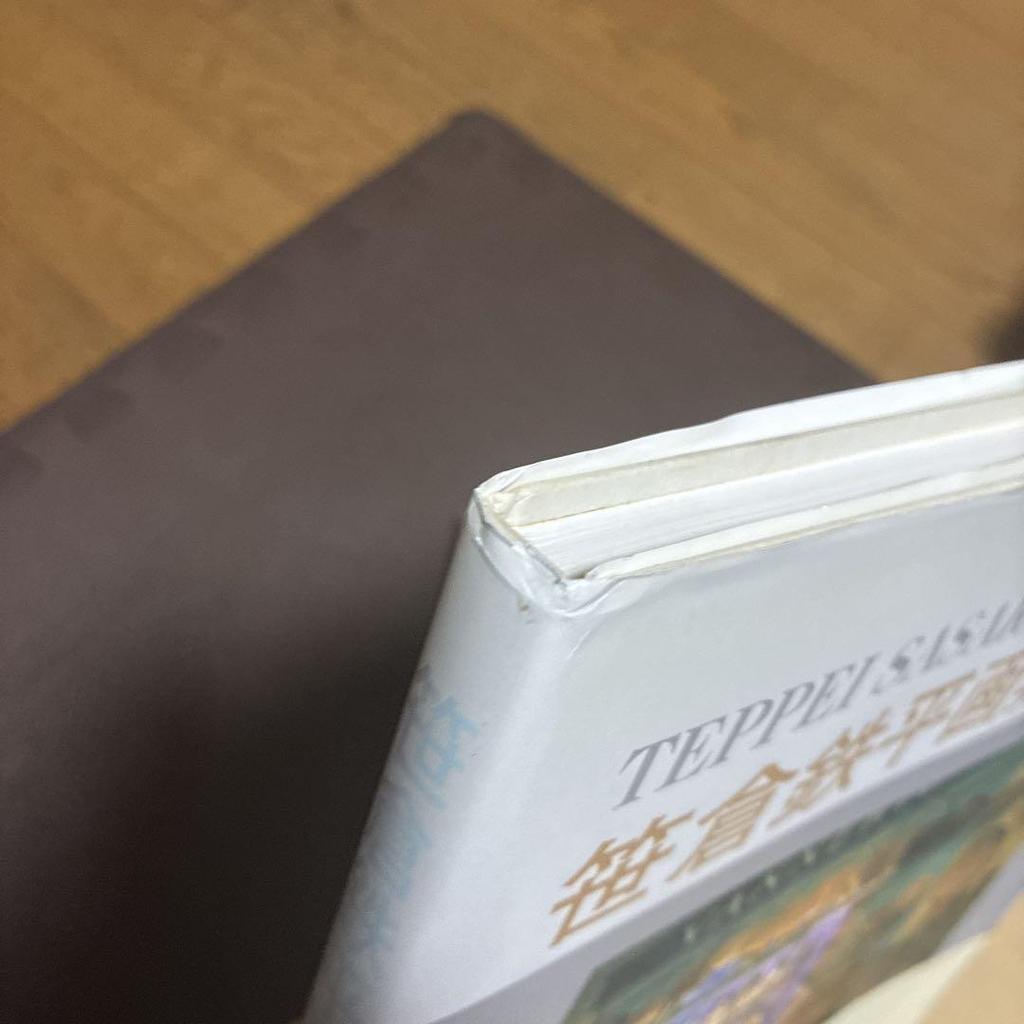 [USED] Teppei Sasakura Complete Print Collection 1991-2002 (out of print) Teppei Sasakura Art Collection (2 pieces)