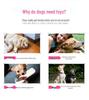 Plush Toy Frog & Hippo: Biteable Teething Toy for Dogs