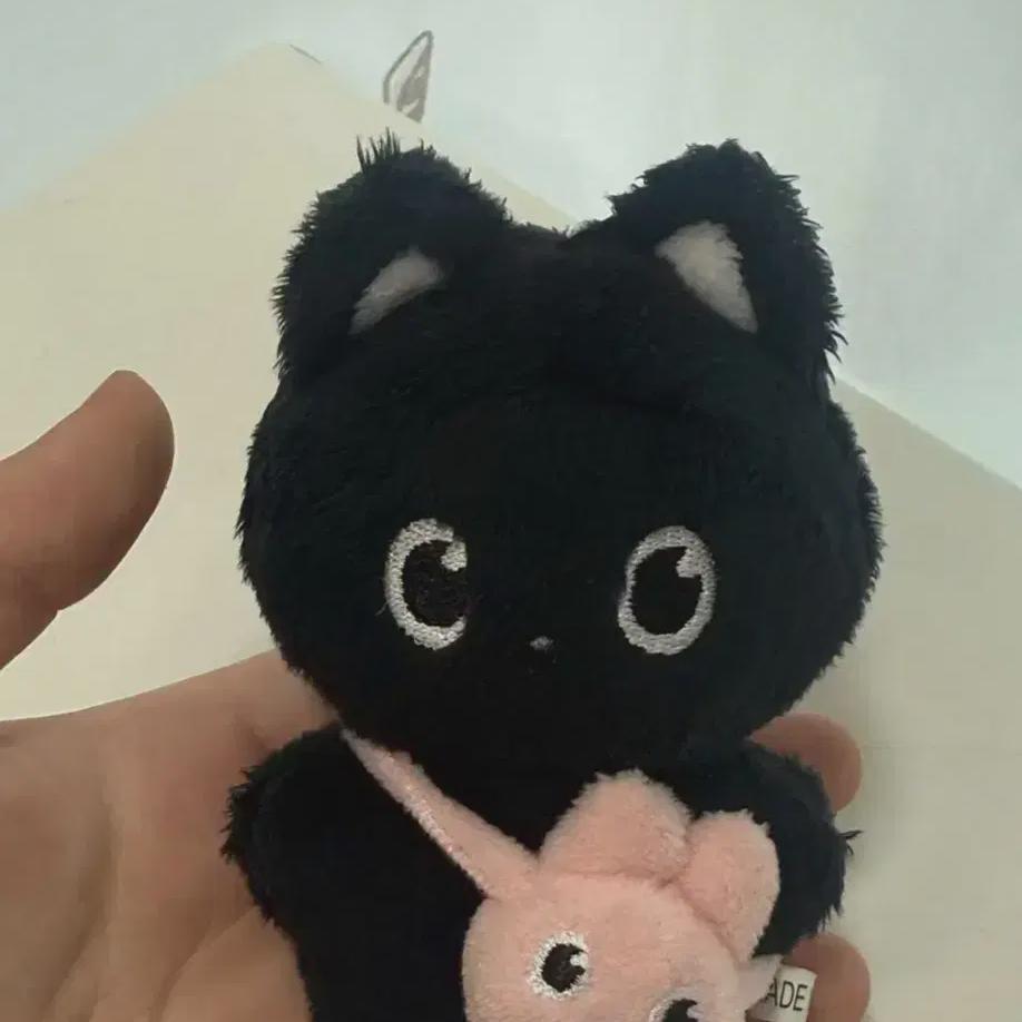 

Less Than The Cost Of Riize Wonbin s Doll Kitty