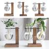 Test Tube Vase with Stand Hydroponic Flower Bud Vase Glass Terrarium Decorative Vase Plants for Home Office Decor