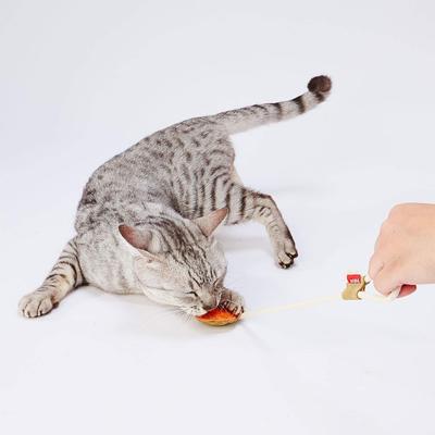 Petio Cat Toy Loofa Leather Dental TOY String Orange
