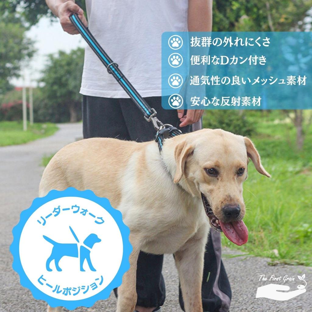 TheFirstGrain Short Lead for Large and Medium Great for Walking and Reflective Gentle On Hands Dogs, Training, Durable, Sturdy, Material, (Black, L)