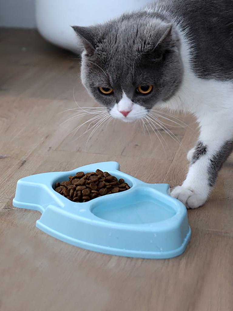 1 szt.-Miska na karmę dla zwierząt z miską z przegródką antypoślizgowa, miska do karmienia zwierząt odpowiednia dla małych i średnich psów i kotów