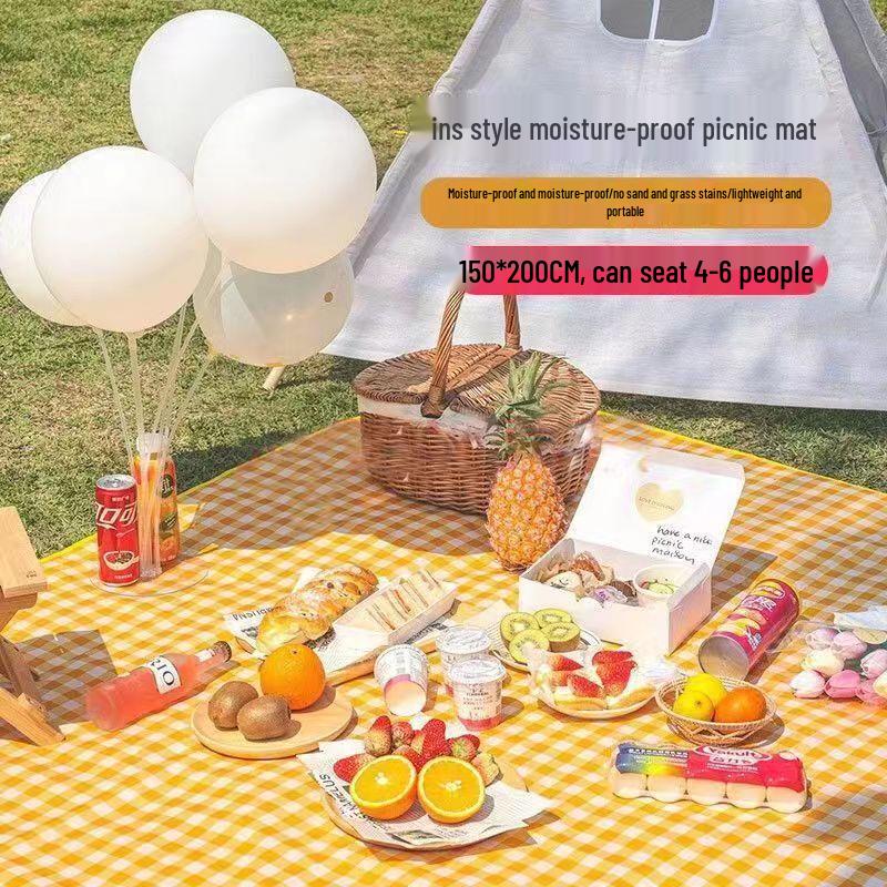 Portable Outdoor Moisture-Proof Mat