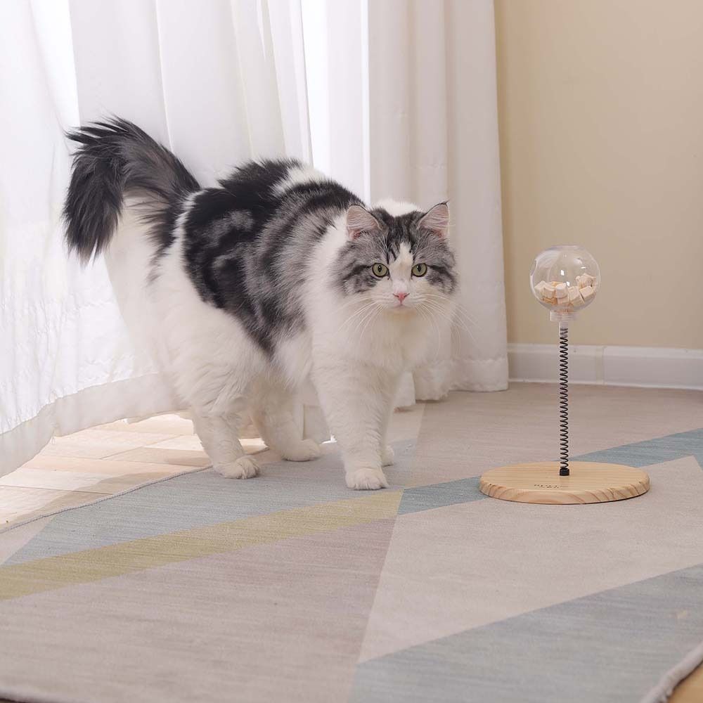 Chasing Pet Supplies For Cats Kitten Tumbler Swing Toy Cat Toy Pet Snack Feeder Pet Puzzle Toys