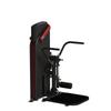 WNQ Commercial Dual-Function Glute and Leg Trainer