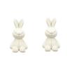 Cute Japanese and Korean white rabbit earrings female niche unique sweet stud earrings earrings New Year's trendy and small face