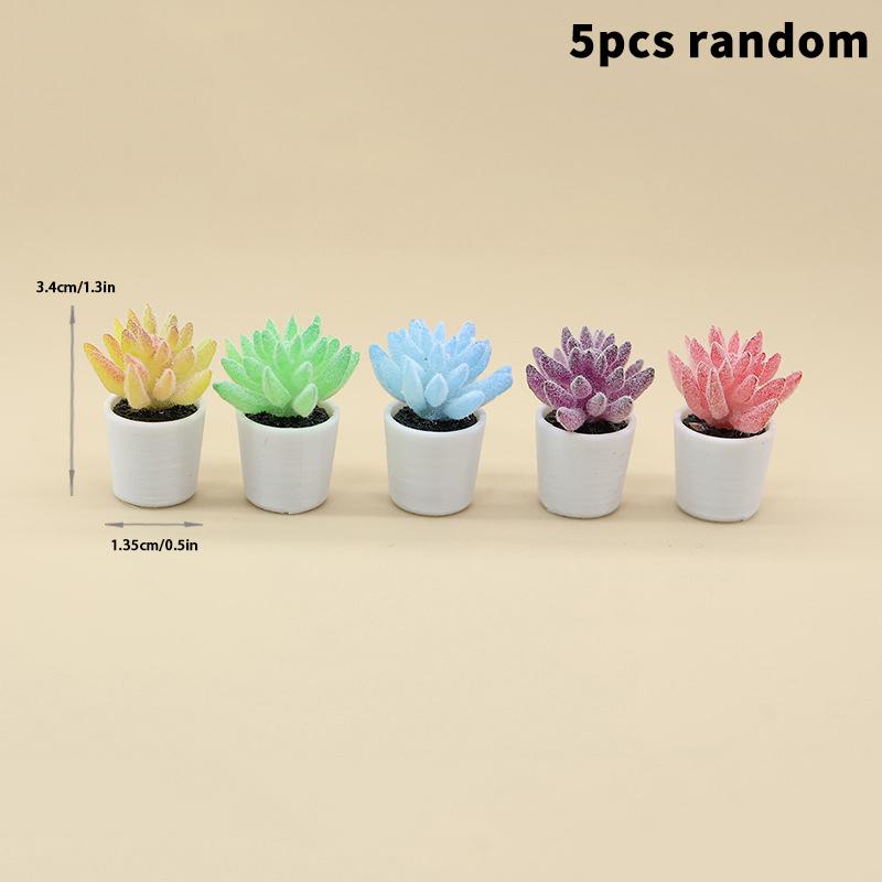 5 Stück Simulation Mini-Sukkulenten Topfpflanzen Modell Puppenhaus Bonsai Dekoration Puppenhaus Mikro-Landschaft Garten Schreibtisch-Schmuck