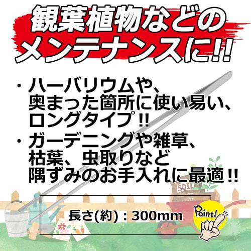 Senkichi Long Tweezers, Stainless Steel, 30cm, Perfect for Herbariums, with Serrated Edges