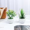 Gefälschte Blumen Simulierte Baum Topf Pflanzen Büro Tisch Topf Ornamente Künstliche Aloe Pflanzen Bonsai