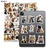 10 30 50 Stück Lustige Süße Katzen Meme Tiere Aufkleber Ästhetisch Kawaii Abziehbild DIY Laptop Gitarre Skateboard Wasserdichter Graffiti Aufkleber
