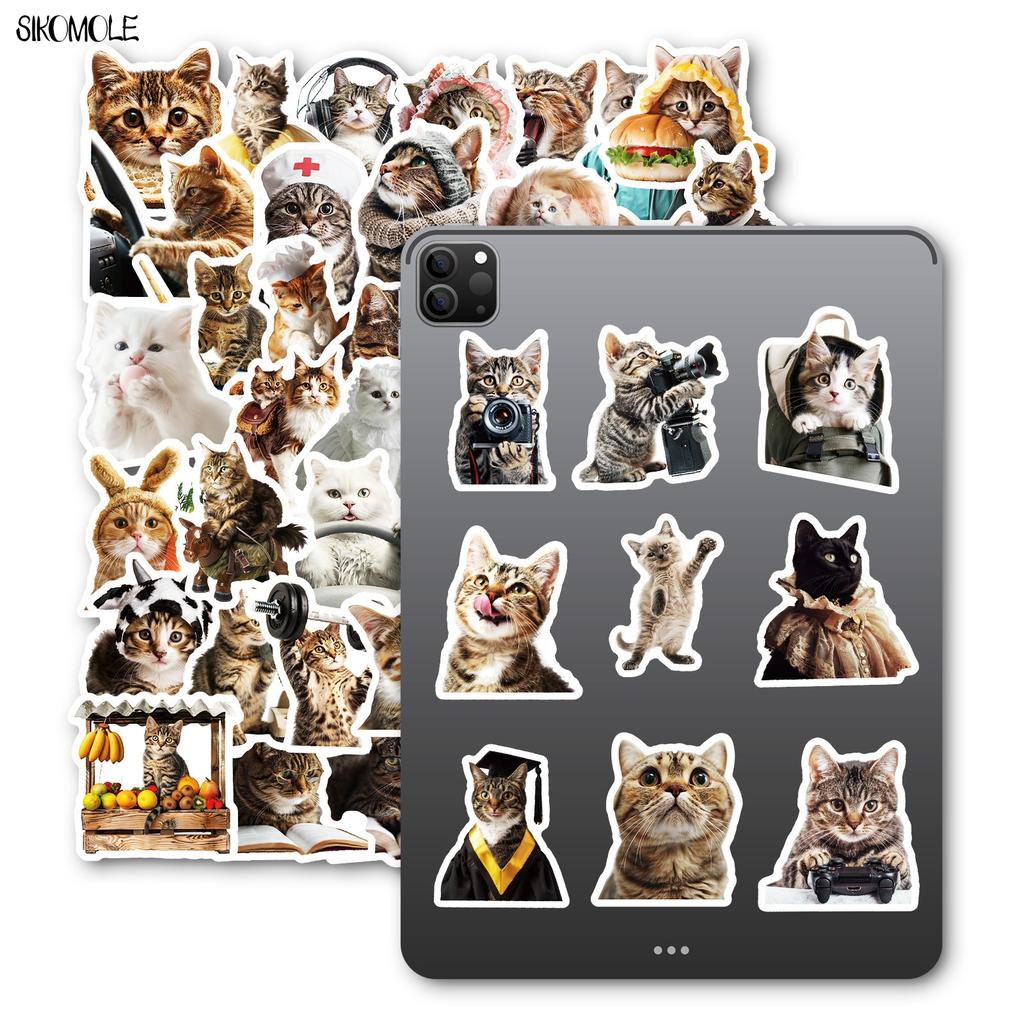 10 30 50 Stück Lustige Süße Katzen Meme Tiere Aufkleber Ästhetisch Kawaii Abziehbild DIY Laptop Gitarre Skateboard Wasserdichter Graffiti Aufkleber