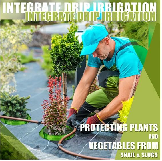 Plant Protective Cover Vegetable Garden Supplies Accessories Snail Collar Seedling Caps Agricultural Mini Greenhouse Tools