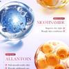 Vanilla Body Lotion 200ml Autumn and Winter Moisturizing Marshmallow Body Lotion Skin Care Products