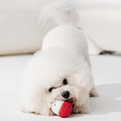 Pet Chew Toy Lychee Shape Natural Rubber Bite-Resistant Dog Toy with Interactive Sound Bite-Resistant Clean Teeth Massage Gums Dog Toy