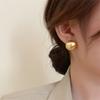 Luxurious Simple Design Brushed Frosted Metal Semicircle Stud Earrings for Women Temperament Jewelry Gifts Fashion Accessories
