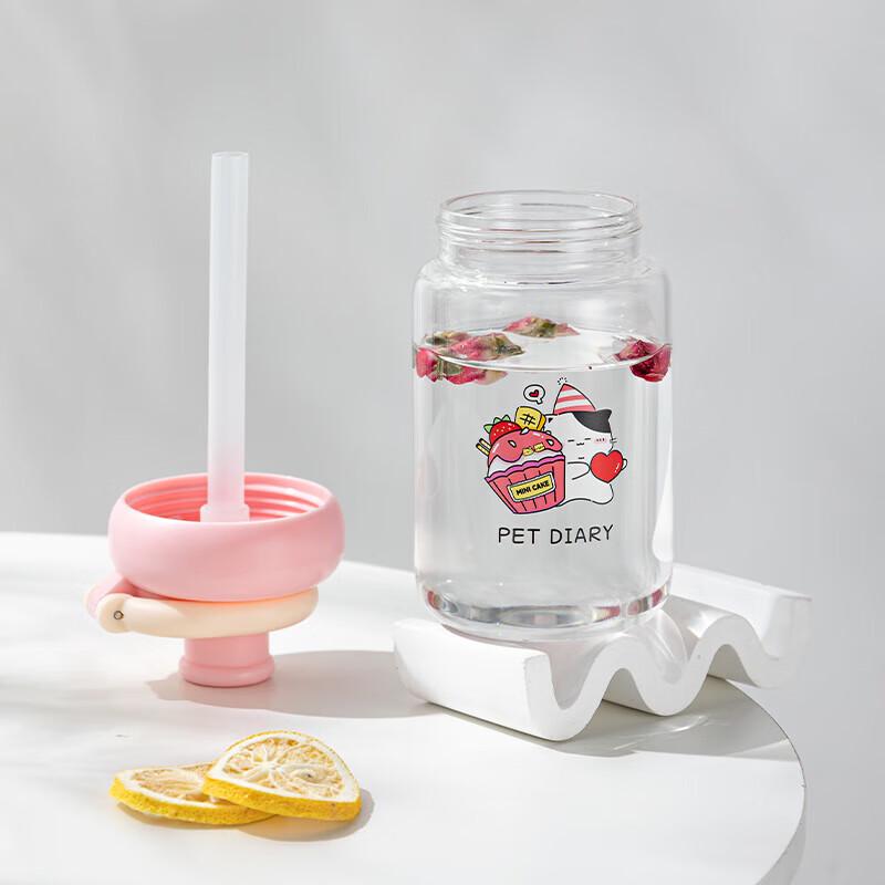 Shanzhongshan Portable Glass Straw Cup