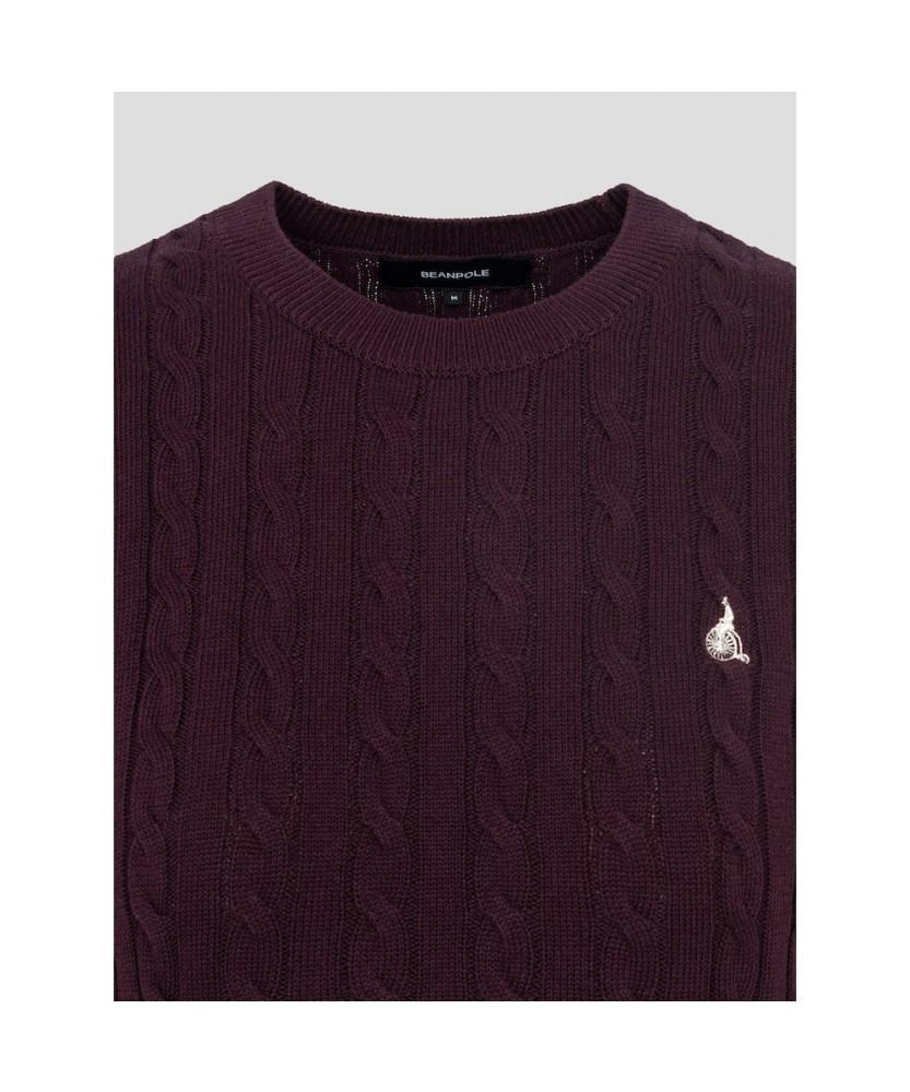 Binpolleidiseu [Essential] Cotton Cable Round Neck Short Sleeve Pullover Wine (Bf6751E02Z)