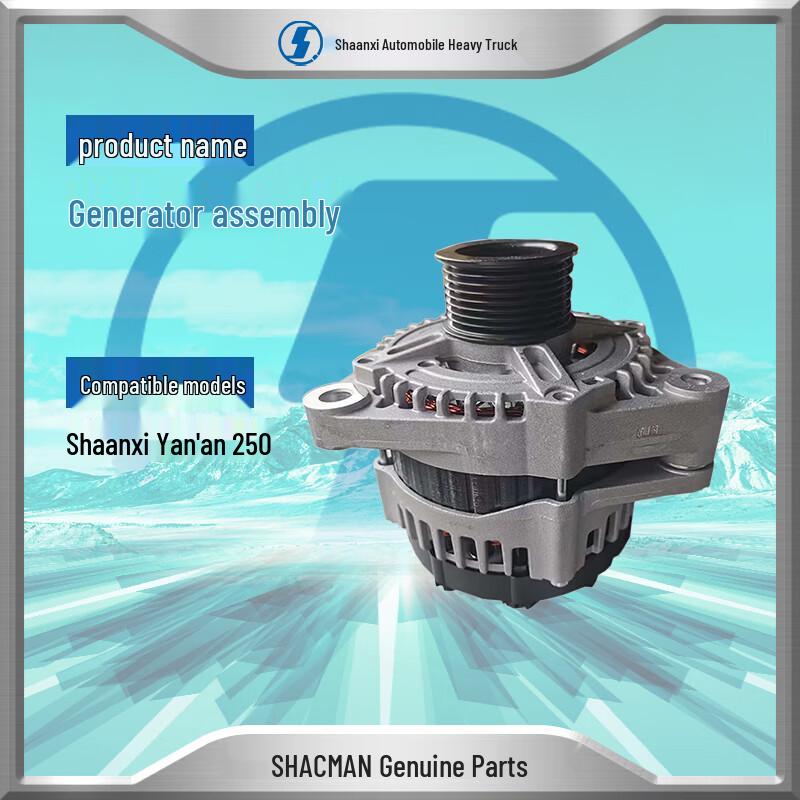 SHACMAN Yan an 250 Generator Assembly