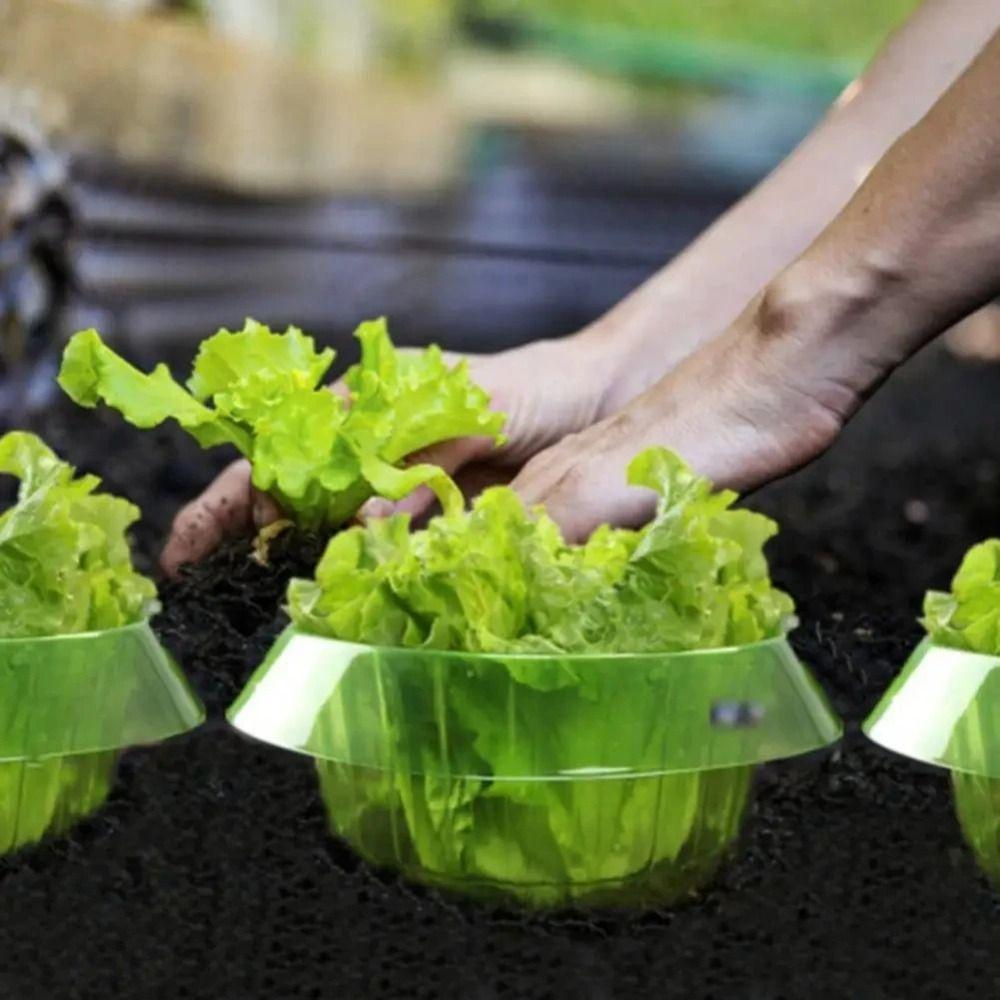 1/10pcs Reusable Protection Vegetables Covers Lightweight Flowerpot Cover New Plant Snail Collar