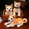 Realistice Akita Dog umplute animale de pluș jucărie drăguț simulare cățeluș Shiba Inu pufos potoli Baby Doll cadouri de ziua de naștere pentru copii
