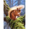 5D DIY diamantová malba Zvířecí veverka Umělecká sada křížového stehu Kamínkový obrázek Úplné diamantové vyšívání Mozaikové dekorace dárek