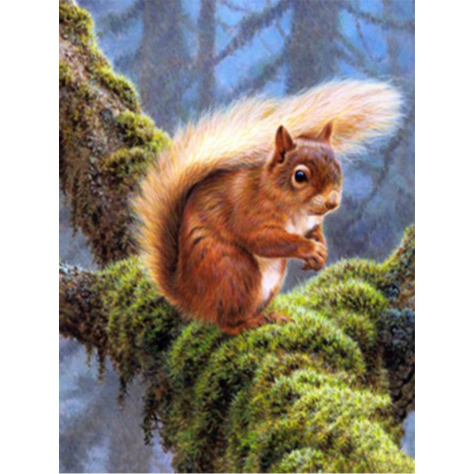 5D DIY diamantová malba Zvířecí veverka Umělecká sada křížového stehu Kamínkový obrázek Úplné diamantové vyšívání Mozaikové dekorace dárek