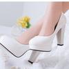 Women's Plus Size High Heels Simple Shoes Casual Pointed Toe Thick Heel Work Single Shoes Solid Color 34-42