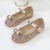 Kids Princess Shoes 2024 Spring New Little Girls Soft Crystal Shoes Flats Silver Children Mary Janes for Party Wedding Shows PU